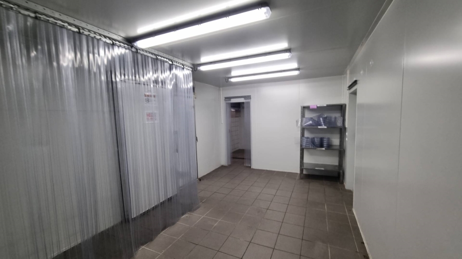 To Let Commercial Property for Rent in Salt River Western Cape